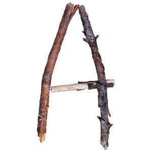 Branch Font