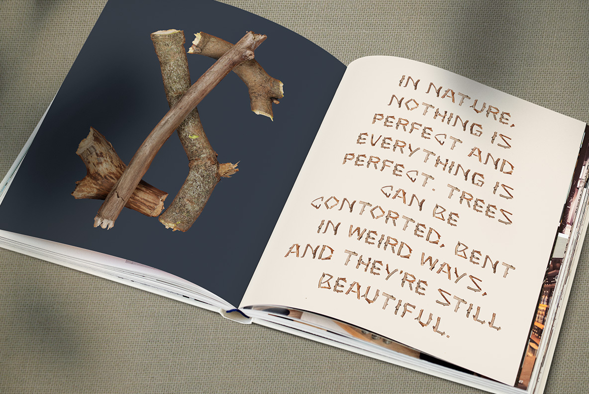 Alphabet made from branches
