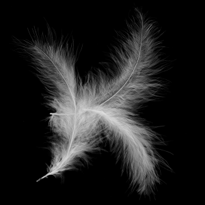 Feather Font