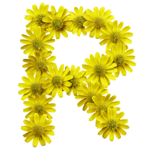 Yellow Flowers Font