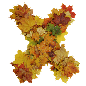 Autumn Font