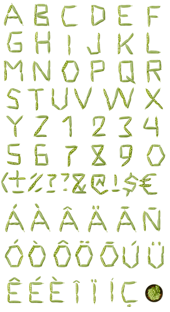 Peas green Font