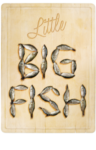 Fish sea Font