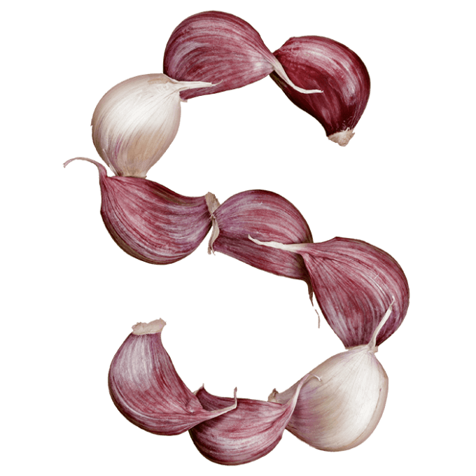 Buy Garlic Font To Dress Designs And Scare Vampires Off
