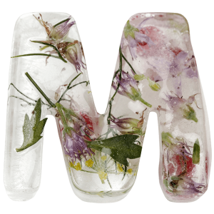Ice and Flowers Font