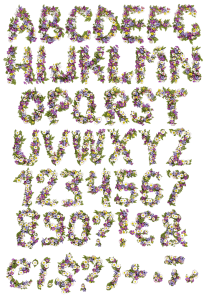 Wildflowers spring Font