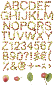 Apple fruit font