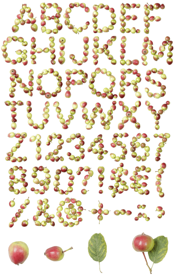 Apple fruit font