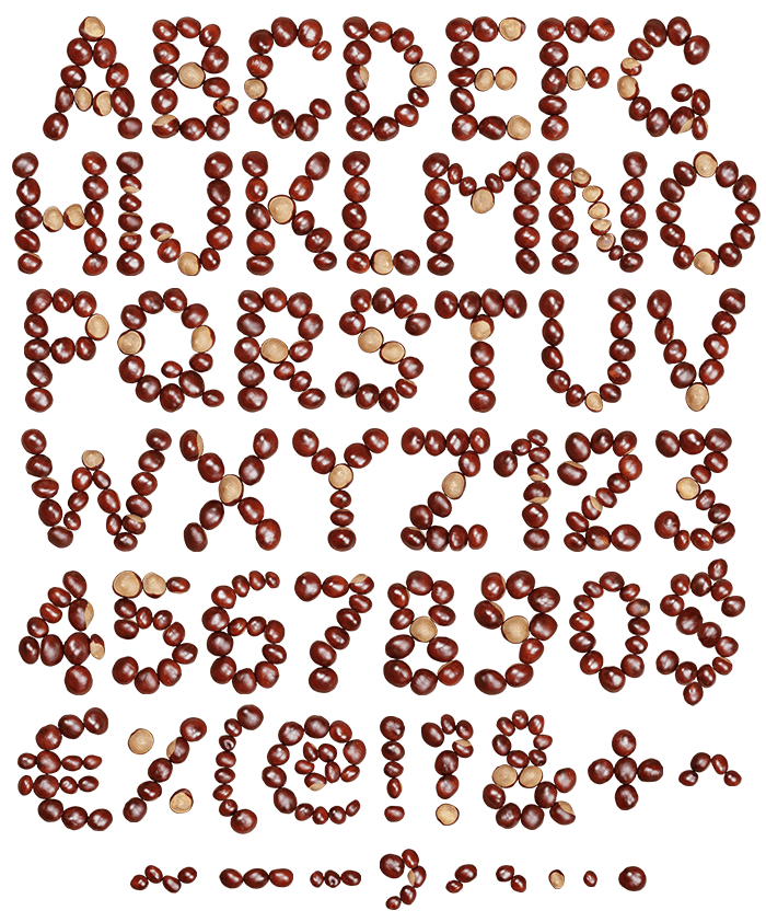 Chestnut handmade font