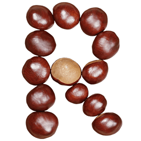 Chestnut font