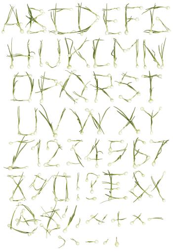 Green Onions food Font