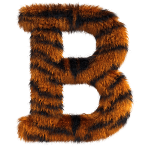 Tiger font