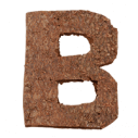 Buy Brown Bark Font, Natural Typeface From Real Bark