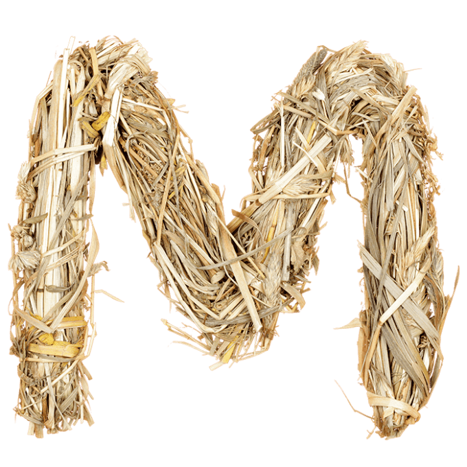 Buy Hay Font And Go To Compete In Agricultural Typography Derby