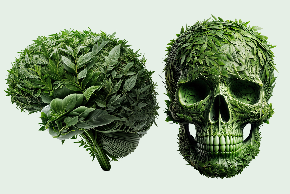 Green leaves alphabet