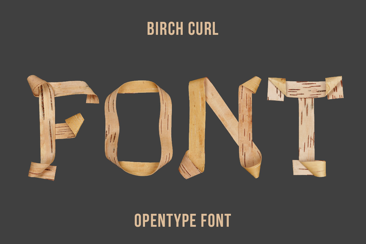 Birch Curl Font – Birch Bark Typography Birch Curl Font letters made from curled natural birch bark