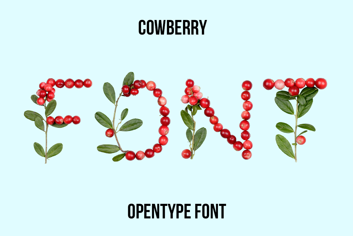 Cowberry Font – Handmade Berry Alphabet Cowberry Font with letters created from red cowberries, green leaves and natural branches