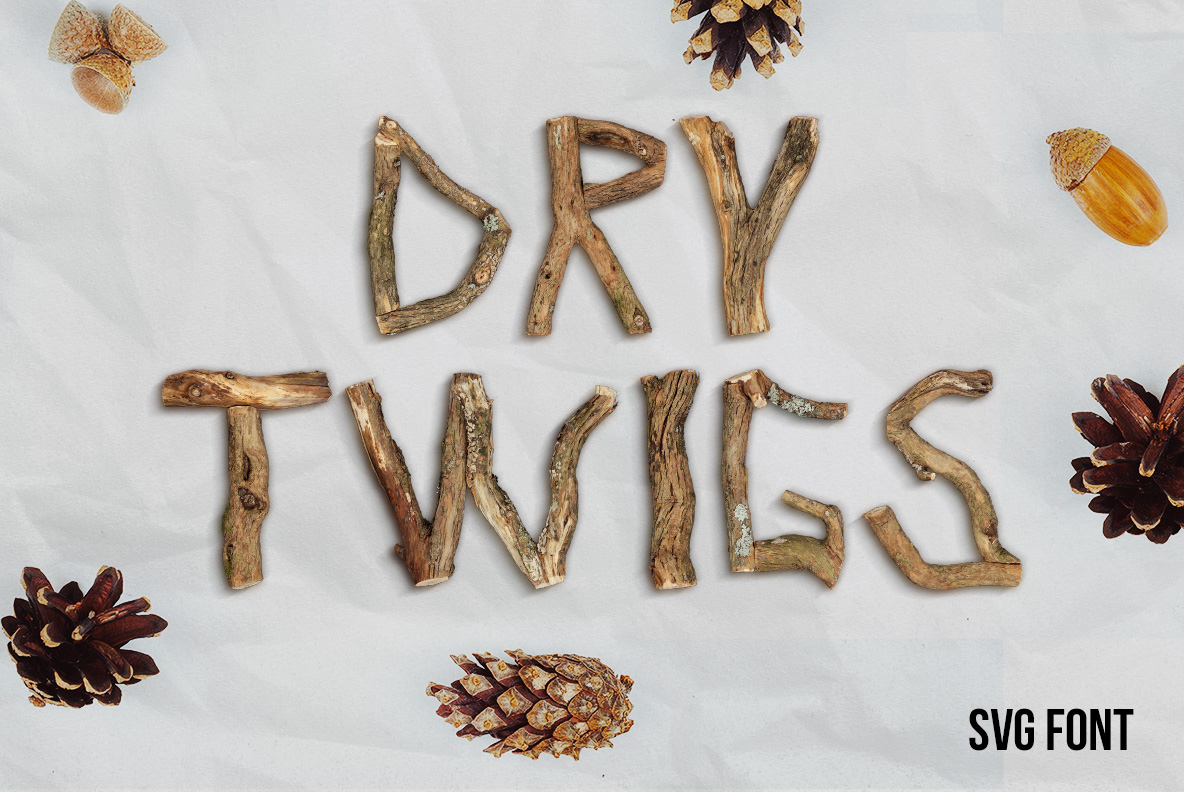 Dry Twigs Font – Natural Twig Typography Dry Twigs Font with handmade letters formed from dry branches and natural twigs