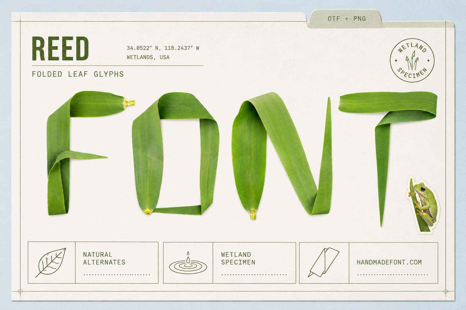Reed Font – folded green leaf lettering for natural branding