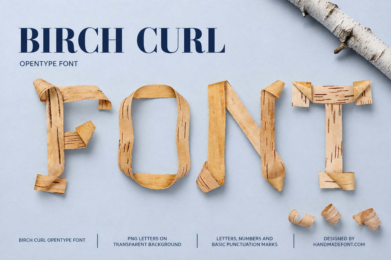 Birch Curl Font formed from pale birch bark for natural typography inspiration