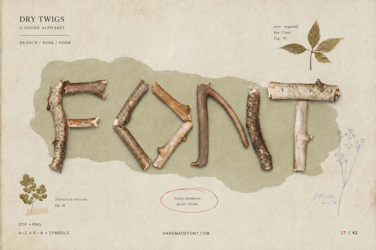 Dry Twigs Font in another handcrafted branch lettering composition