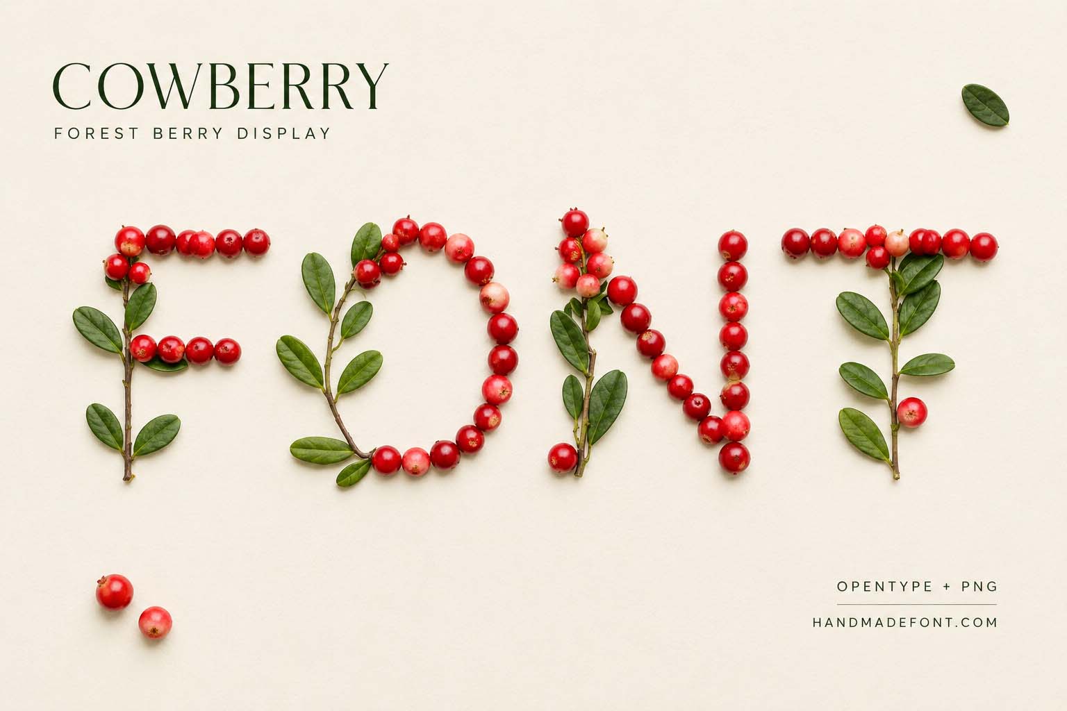 Cowberry Font – red berry and green leaf lettering for food packaging