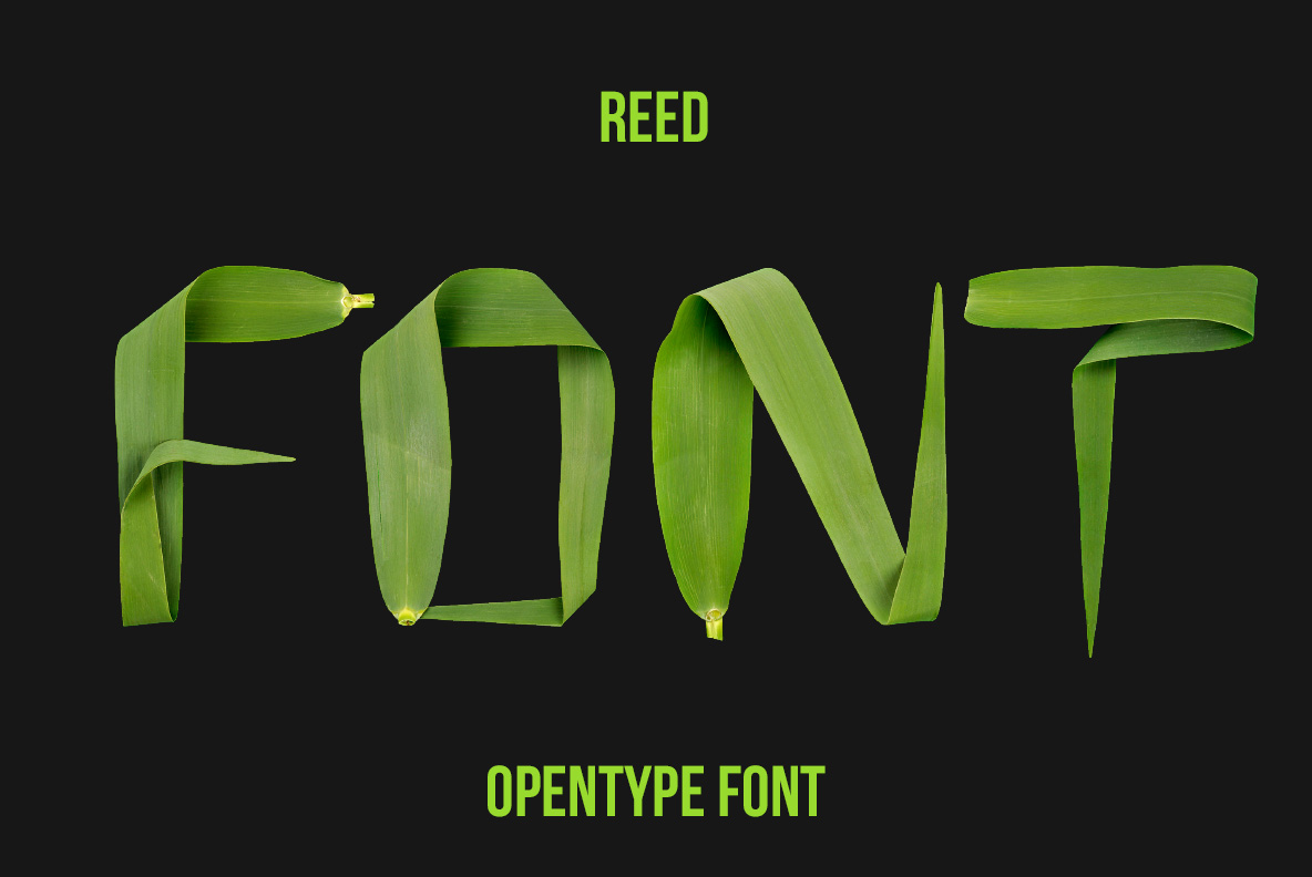 Reed Font with organic letters created from green reeds and plant stems