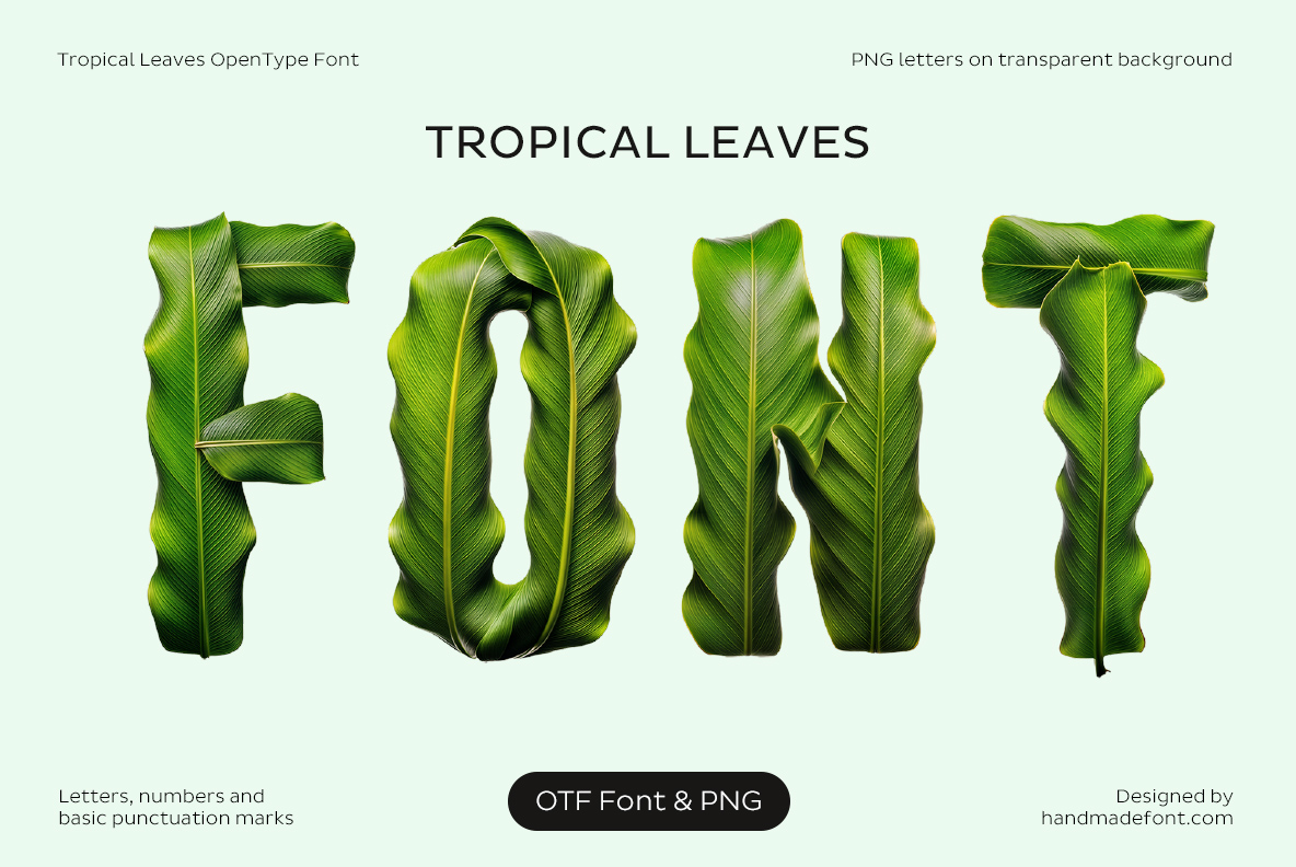 Tropical Leaves Font with lush green tropical foliage forming letters