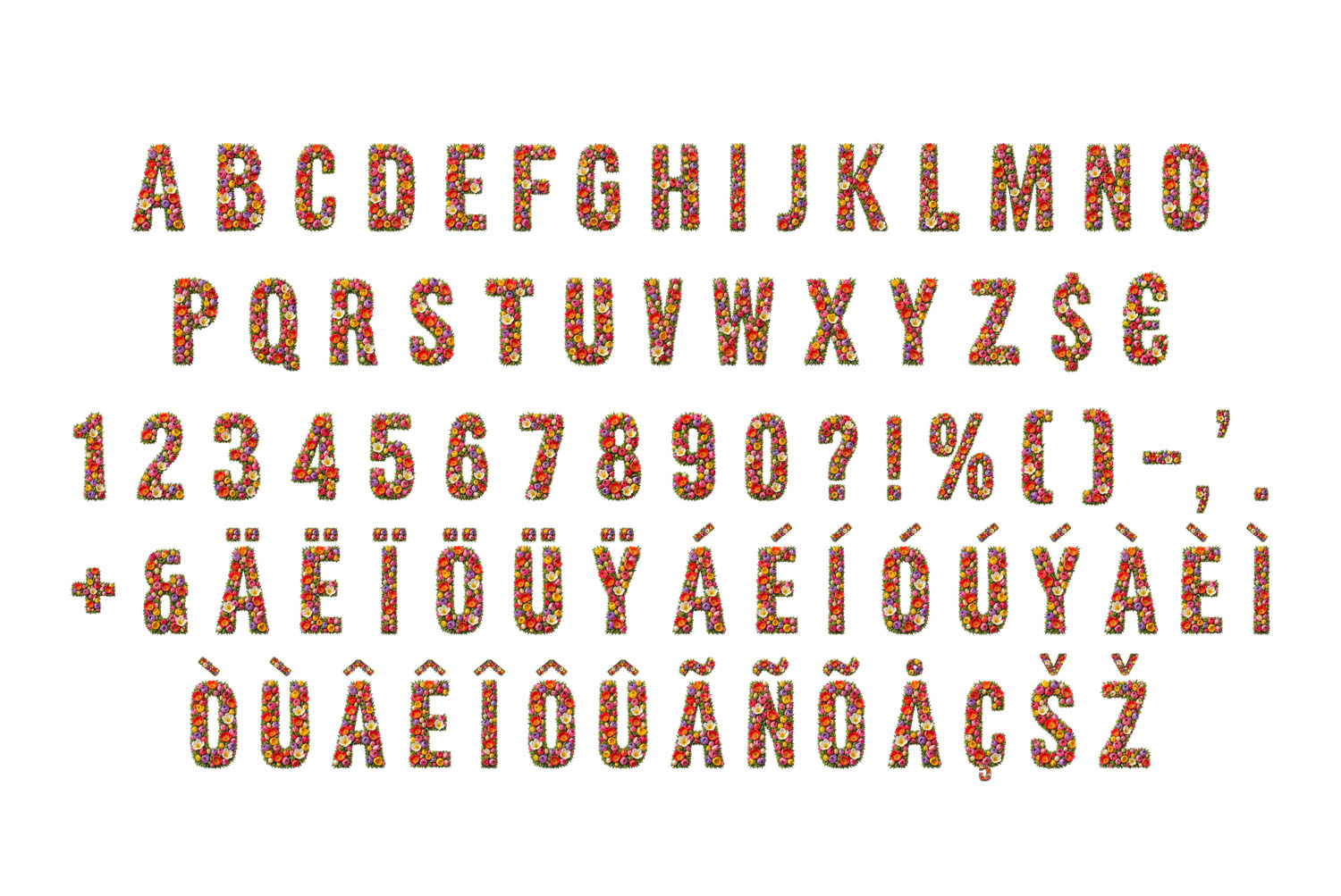 Tulip Font full character set Complete character set of the Tulip Font with numbers, currency and accents